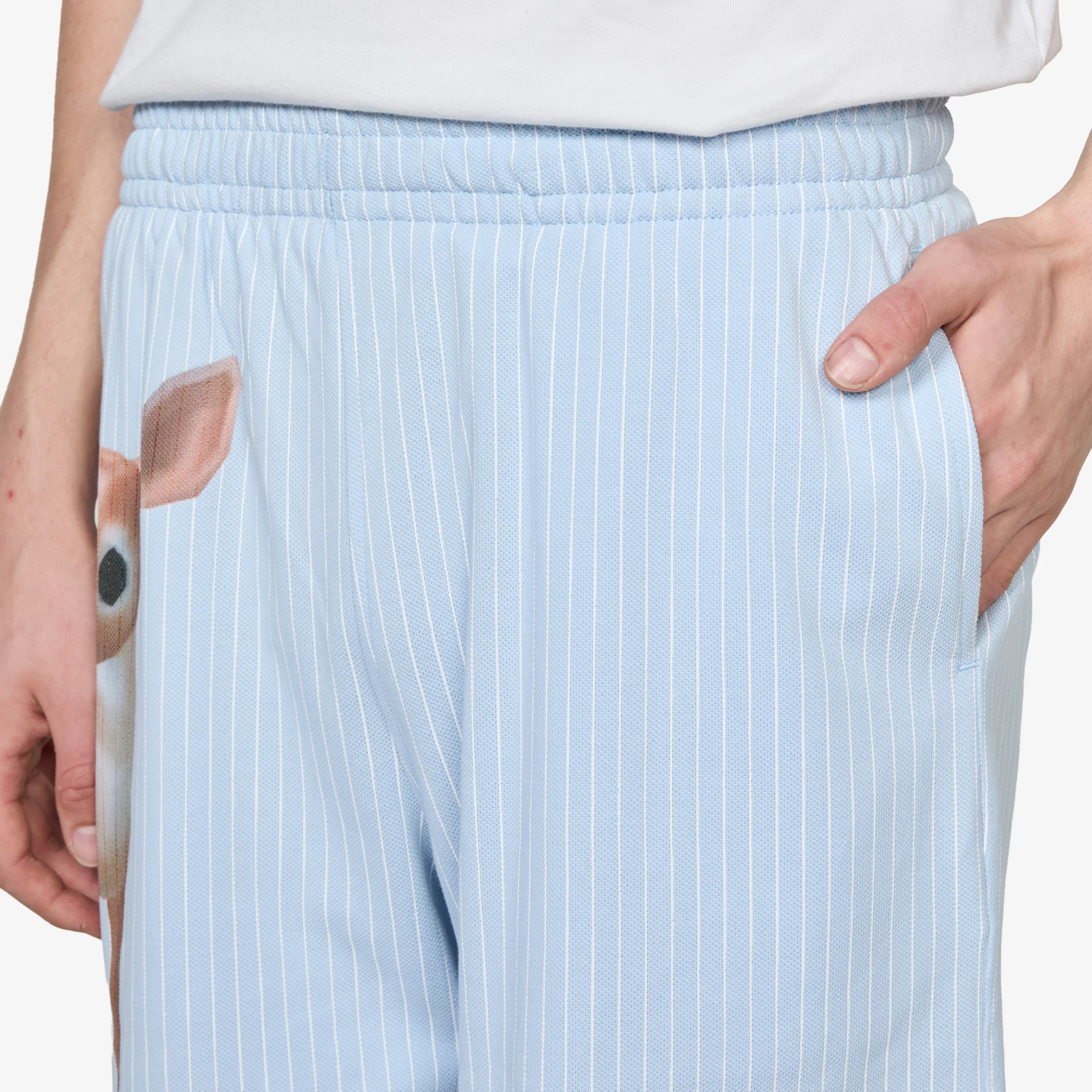 Pet Shorts Blue - Image 5